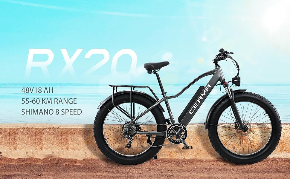 CEAYA elektrische fietsen RX20